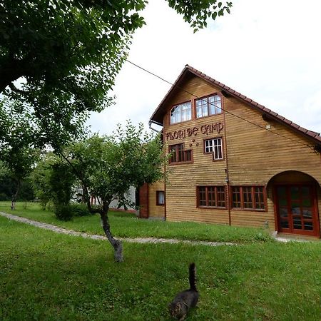 Pensiunea Flori De Camp Vatra Dornei Dış mekan fotoğraf
