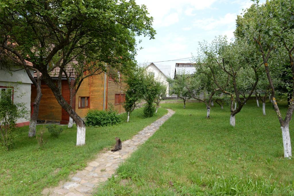 Pensiunea Flori De Camp Vatra Dornei Dış mekan fotoğraf