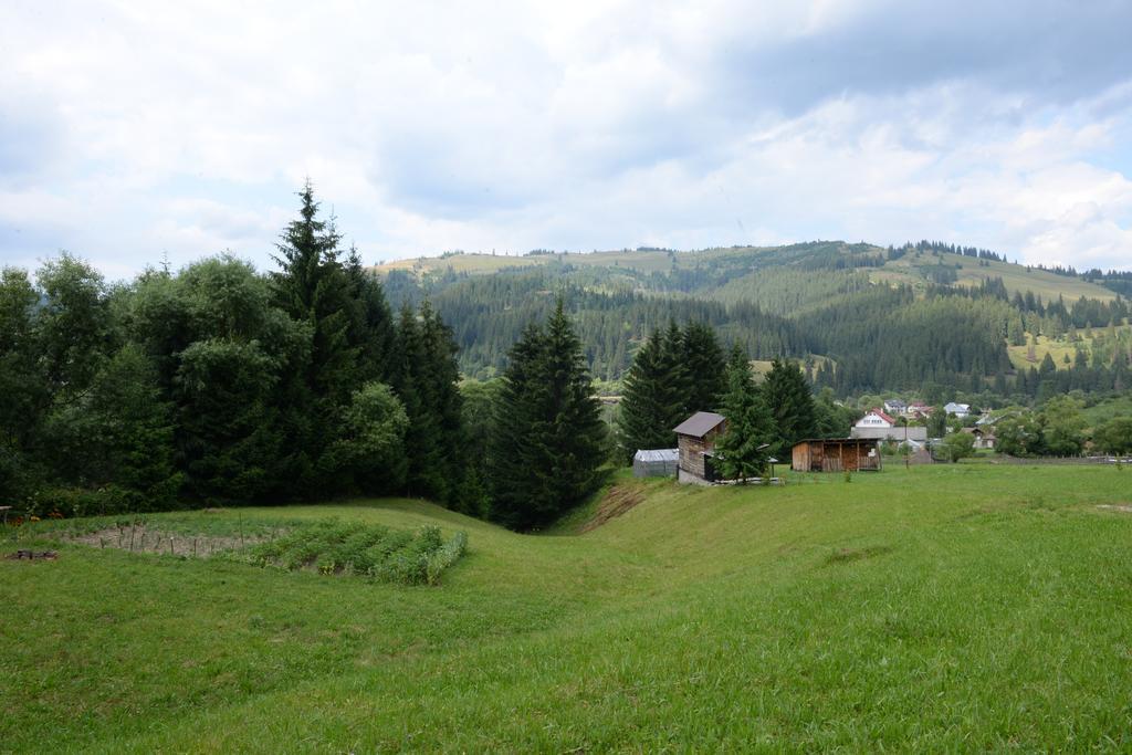 Pensiunea Flori De Camp Vatra Dornei Dış mekan fotoğraf