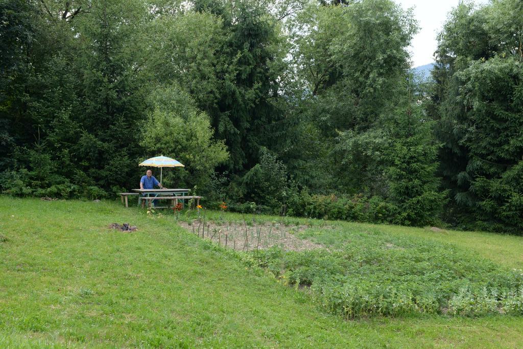 Pensiunea Flori De Camp Vatra Dornei Dış mekan fotoğraf