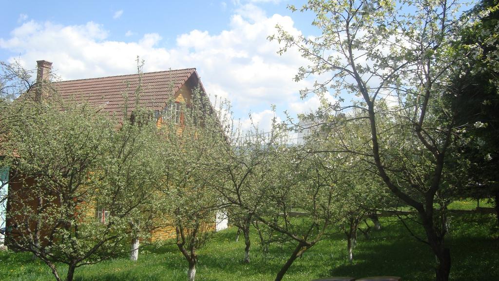 Pensiunea Flori De Camp Vatra Dornei Dış mekan fotoğraf