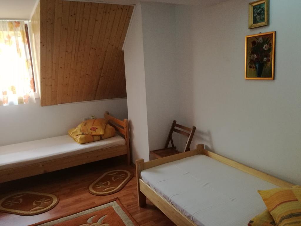 Pensiunea Flori De Camp Vatra Dornei Dış mekan fotoğraf