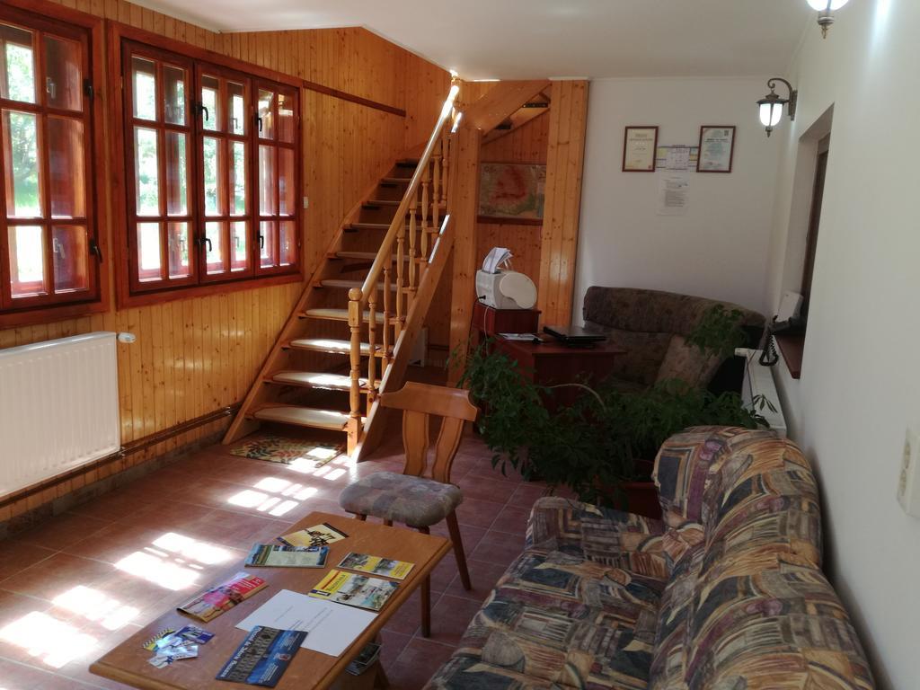 Pensiunea Flori De Camp Vatra Dornei Dış mekan fotoğraf