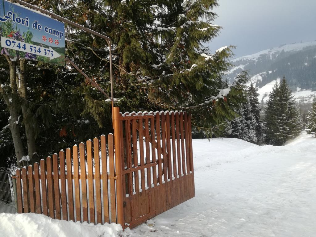 Pensiunea Flori De Camp Vatra Dornei Dış mekan fotoğraf