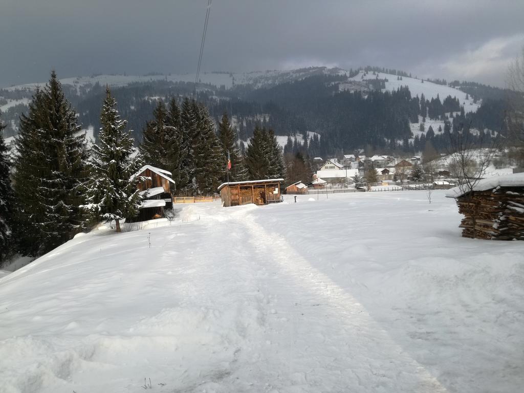 Pensiunea Flori De Camp Vatra Dornei Dış mekan fotoğraf