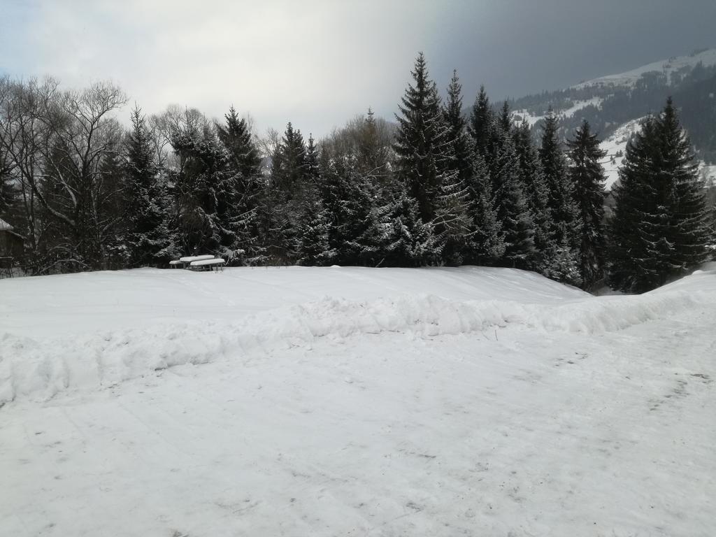 Pensiunea Flori De Camp Vatra Dornei Dış mekan fotoğraf